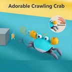 Crawling Crab Toy for Infants